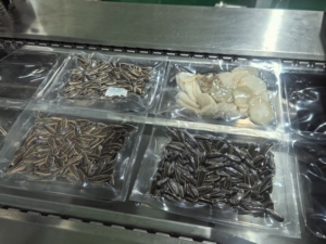 Hiệu quả cao Máy đóng gói chân không thermoforming gà Basa cá đóng bao máy đóng gói thực phẩm - Product Image 5