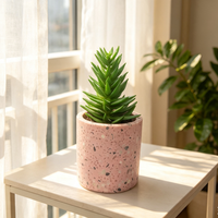 Pot de plante cylindrique en terrazzo rose, petit pot à texture de béton moucheté, mini-planteur moderne pour succulentes et cactus