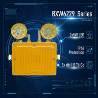 Luminaire d'urgence LED à deux têtes, batterie au lithium rechargeable, lumière de sécurité pour station-service, usine chimique