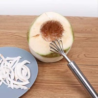 Huis Keuken Multifunctionele Vis Schaal Dunschiller Coconut Rasp Slicer Schraper Roestvrijstalen Mes Kokosnoot Vlees Removal Tool