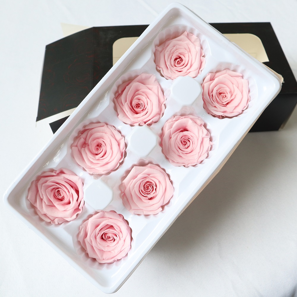 8 cabezas de rosas preservadas