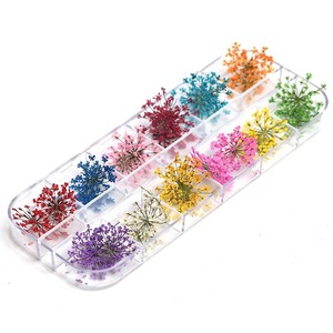 1 boîte de 24 fleurs séchées pour <span class=keywords><strong>nail</strong></span> <span class=keywords><strong>art</strong></span>, 12 couleurs, mini fleurs séchées, fleurs naturelles réelles, appliques 3D pour ongles, autocollants de décoration pour ongles - Product Image 1
