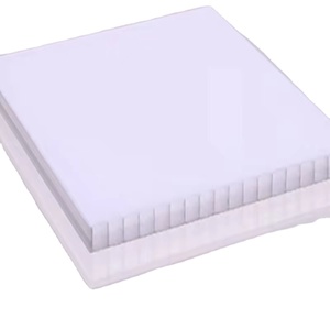 Panel <span class=keywords><strong>alveolar</strong></span> transparente para invernadero, lámina de <span class=keywords><strong>policarbonato</strong></span> para cultivo - Product Image 1