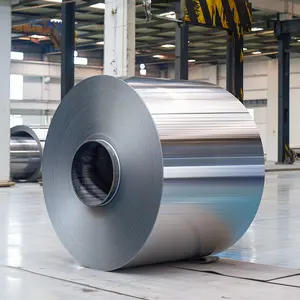 62si2mn 60si2mna C75 Aisi 1075 51crv4 Spring Steel Coil Cold Rolled Silicone Mn Steel Strip