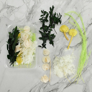 Flor seca DIY Materiales florales Flor eterna Artesanía Decoración para fiesta de boda <span class=keywords><strong>Curso</strong></span> de arte floral Paquete de material artificial - Product Image 4