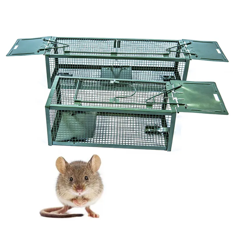 तार रक्षकों चूहा और गिलहरी पिंजरे जाल धातु मानवीय आसान पकड़