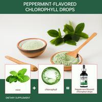 Chlorophylle liquide pour adultes en gouttes, saveur menthe, extra forte, extraite à froid, d'alfalfa sauvage non OGM, antioxydante, détoxifiante, alcaline