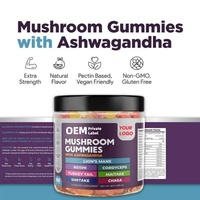 Gummies aux champignons OEM/ODM, Gummies aux champignons Lion's Mane, stimulent l'immunité et l'énergie, complément alimentaire en gummies aux champignons