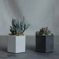 Pot de fleurs minimaliste blanc nordique personnalisable avec logo et couleur, en béton écologique de haute qualité, pot décoratif en gros