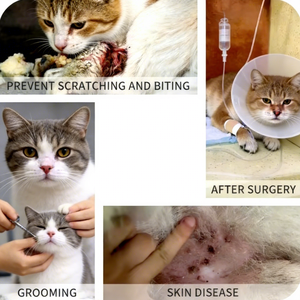 Collar Protector Ajustable para Perros y Gatos, de Plástico con Borde Suave, Anti-Mordidas, para la Recuperación de Heridas - Product Image 3