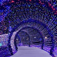 220V 50m Mehrfarbige LED-Lichterkette Farbwechselnde Weihnachts-Feenlichter Warmweiß 600H für Außenanwendungen