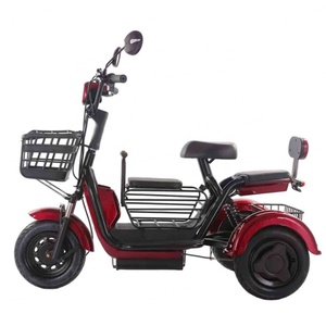 New Adult Three Wheeled Electric Vehicle with 48V Lead-acid Battery 500W Open Two Seater Electric Tricycle - Product Image 1