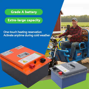 Batterie LiFePO4 haute endurance, rechargeable par énergie solaire, pour scooter électrique à 2/3/4 roues, tricycle - Product Image 2