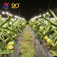 Lampu LED Spektrum Penuh untuk Pertumbuhan Tanaman, Aluminium OEM Pabrik, IP54, Outdoor, E27 15W, Mendukung Pembungaan Buah Naga dan Gerbera
