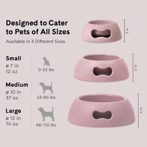 Gamelle pour chien en acier inoxydable grande/petite taille, antidérapante, anti-brûlure, gamelle simple Taizhou - Product Image 2