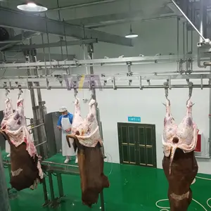 Rail de convoyeur de purge automatique d'abattoir de vaches de bon fournisseur pour l'équipement d'usine d'abattoir de bétail de 50 têtes par heure