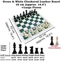 Jeu d'échecs portable en plastique pour enfants, taille moyenne, avec un roi de 9,5 cm et une reine double, et une échiquier vert et blanc de 43 cm