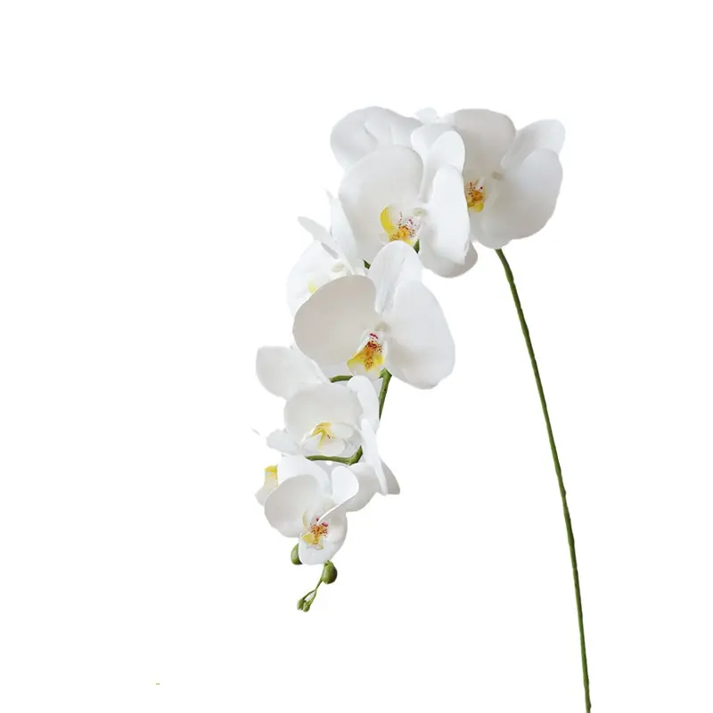 China Fábrica De Flores Real Toque Ambientalmente Plástico Phalaenopsis Orquídeas Planta Viva Longo Pendurado Orquídea Látex Flores