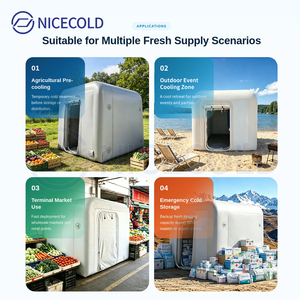 Cámara Frigorífica Móvil Inflable para Logística de Cadena de Frío, Almacenamiento Refrigerado Temporal y Aplicaciones de Distribución - Product Image 6