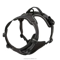 Harnais de chien de sport en nylon de style gilet, moderne, avec sangle dorsale et laisse de traction, couleur personnalisable, portable, pour toutes les tailles - Vente directe usine