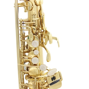 Saxophone alto en lautre en la, laqué or, instrument à vent en bois avec étui de transport, gants, chiffon de nettoyage, brosse, sangle de saxophone, sourdine - Product Image 5