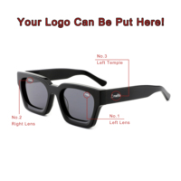 Nouveauté Lunettes de soleil polarisées en acétate de luxe pour hommes UV400 avec logo personnalisé Lunettes de soleil tendance Gafas De Sol Polarizadas