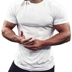 T-shirt pour homme de haute qualité 100% coton, prix de gros, manches courtes, décontracté, unisexe, tissu jersey écologique, saison estivale, livraison rapide - Product Image 3