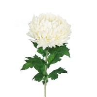 Grosir batang bunga aster buatan panjang 75cm semprotan bunga aster sutra