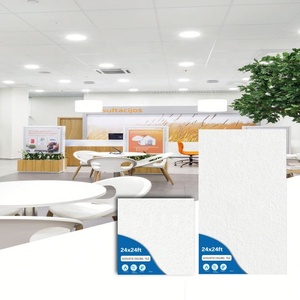 Rejilla de Techo Suspendida de Alta Calidad 24x24 OEM Insonorizada Tipo G, Económica, con Borde Especial de Lana Mineral para Aislamiento Acústico - Product Image 1