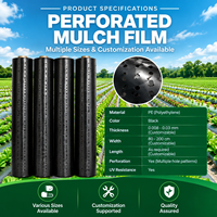 Agrarische geperforeerde plastic mulchfolie, zilver-zwarte mulchfolie met voorgeperforeerde gaten voor groente- en fruitirrigatie
