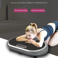 Machine de massage électromagnétique OEM/ODM Super Crazy Fit 3D/4D, plaque vibrante verticale mince pour tout le corps, fitness pour usage domestique