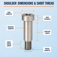 Tornillo de Fijación Métrico de Acero Inoxidable 304 con Cabeza Hexagonal Delgada, con Tope de Hombro y Vástago Liso Escalonado M6/M8