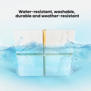 <span class=keywords><strong>Sellador</strong></span> <span class=keywords><strong>de</strong></span> <span class=keywords><strong>Juntas</strong></span> <span class=keywords><strong>para</strong></span> Azulejos a Base <span class=keywords><strong>de</strong></span> Agua, Resistente al Moho, <span class=keywords><strong>para</strong></span> Baño y Cocina, Venta al Por Mayor - Product Image 4