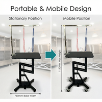 Table de toilettage pour animaux de compagnie hydraulique électrique professionnelle avec hauteur réglable et surface antidérapante pour chiens et chats