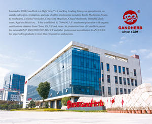 ガノハーブ オーガニック ライオンズ メイン マッシュルーム エキス パウダー 純粋なハーブマッシュルームエキス パウダー 自然なサポートのために - Product Image 2