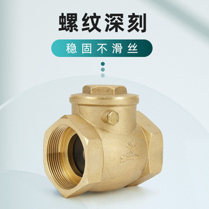 Vanne de retenue unidirectionnelle horizontale à joint souple 4/6/1 pouce en cuivre pour le contrôle de l'alimentation en eau, des milieux acides, huileux et gazeux - Product Image 1