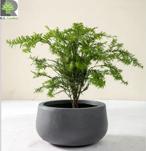 <span class=keywords><strong>Vasi</strong></span> per Fiori <span class=keywords><strong>Moderni</strong></span> di Media Dimensione <span class=keywords><strong>in</strong></span> Fibra Naturale Argilla/<span class=keywords><strong>Cemento</strong></span> Opaco Decorativi per Interni ed Esterni Rivestiti per Casa Giardino Scrivania Shopping - Product Image 5