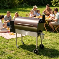 Barbecue à granulés de bois robuste et personnalisable, idéal pour le jardin - Vente chaude