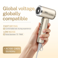 Sèche-cheveux professionnel portable YX-V60 Mini haute vitesse 1200W avec moteur sans balais, ions négatifs, double tension 100-240V