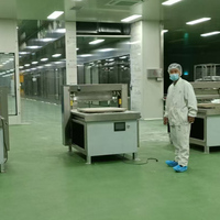 Aangepaste Fruit Roll-Up Productielijn Met Tandwiel En Motor Kerncomponenten Chinese Fabriek Levering Fruit Puree Strooier En Snijder