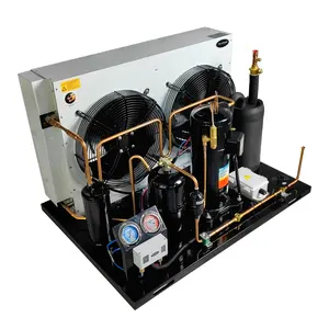 Bescool Novo tipo de unidade de condensação de câmara fria, condensador de congelamento para fábrica e armazenamento de lojas de alimentos