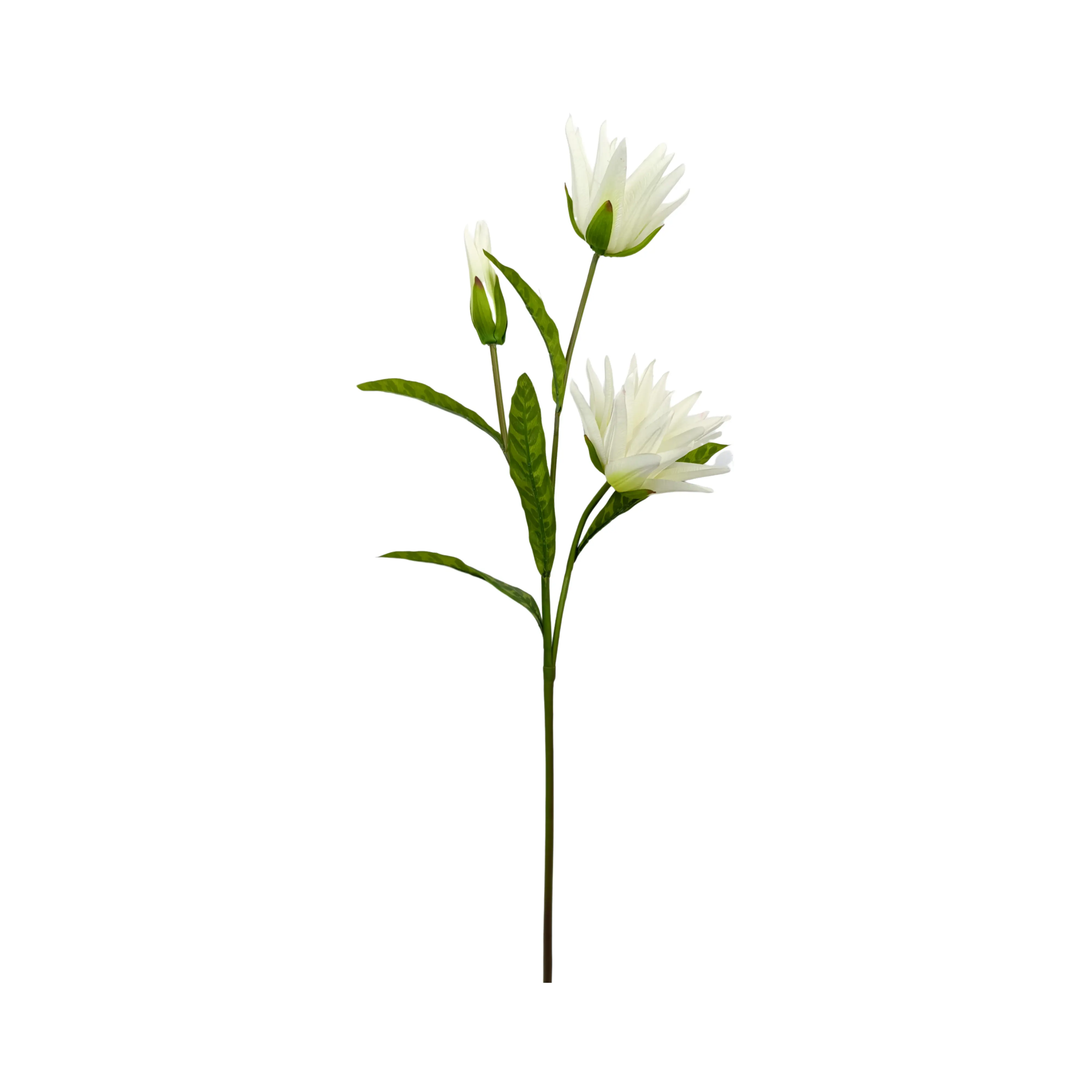 2024 नया डिजाइन प्राकृतिक वास्तविक स्पर्श कृत्रिम 3 सफेद कमल के फूलों के इनडोर सजावट कमल कृत्रिम फूल जाते हैं