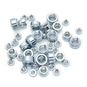 Hạt đinh tán Chất lượng cao, hạt Răng Hoa, sản xuất tự động, lợi thế về giá - Product Image 1