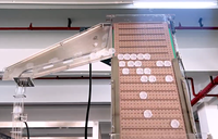Machine d'emballage et de capsulage automatique à haute précision à tête unique