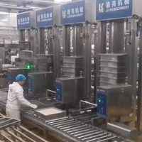 Machine de pressage de tofu verticale à haut rendement/machine de fabrication de tofu