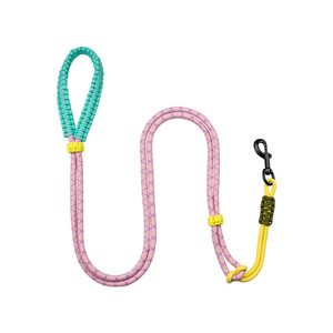 Correa para Perro de Nailon Trenzado Verde Oliva con Asa de Lazo Amarillo Neón y Detalle Morado, Gancho de Seguridad Dorado - Product Image 2