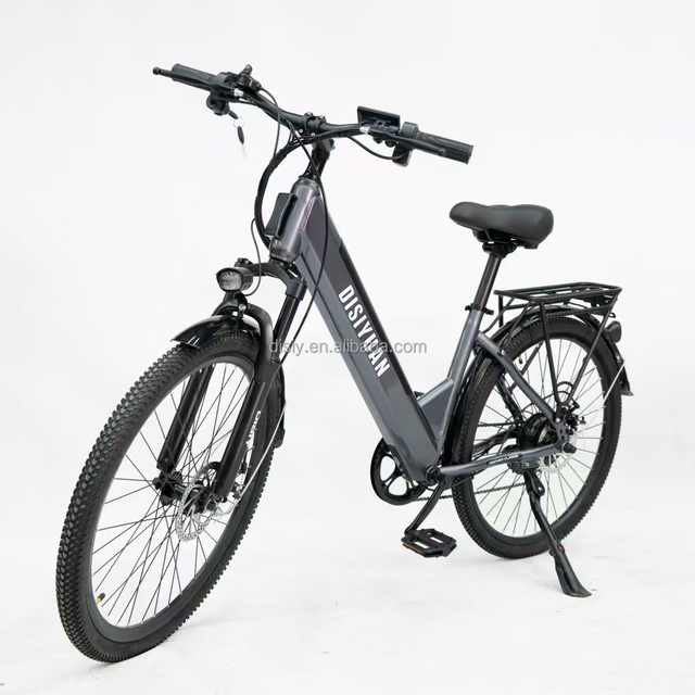 Y1 Electric Bike for Adults 26-Inch Tire Rear Hub Motor Lithium Battery E-City Bicycle 250W 48V 10.4Ah 3-Speed