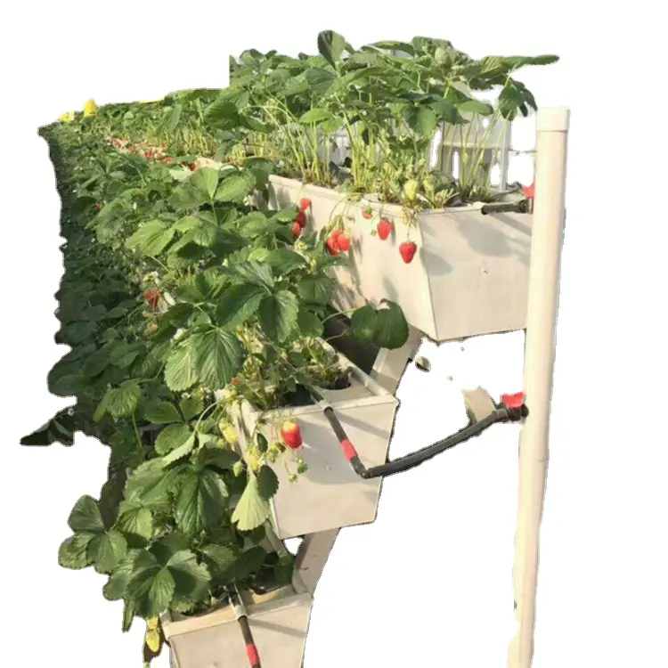 Soilless Cultivation Planting Trough A Shape Substrate culture for strawberry