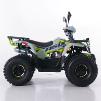Tao Motor 2024 nouveau ATV 125 pas cher chinois automatique chaîne entraînement ferme ATV 125cc ATV