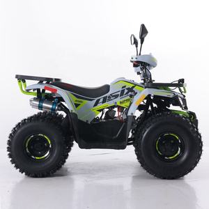Tao Motor 2024 nouveau ATV <span class=keywords><strong>125</strong></span> pas cher <span class=keywords><strong>chinois</strong></span> automatique chaîne entraînement ferme ATV 125cc ATV - Product Image 6